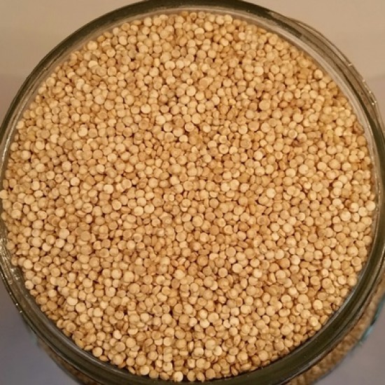 Quinoa blanc biologique - 25kg